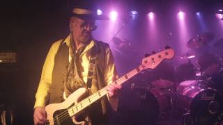 Purple Tree - Promo Video