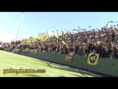 ""Mi viejo me enseñó cuando nací..." Peñarol en Maldonado" Barra: Barra Amsterdam &bull; Club: Peñarol