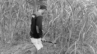 Download lagu Orang pinggiran mp3