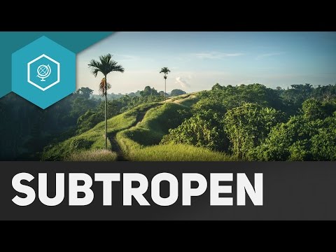 The subtropics simply explained - climate zones 5