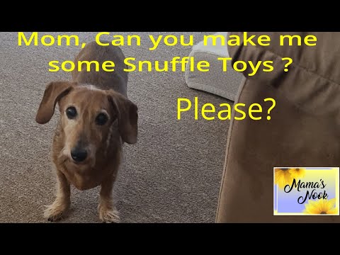Inexpensive Snuffle Ball and Snuffle Mat your dog or cat will love!