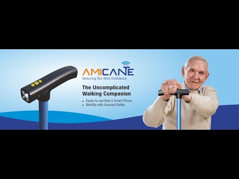 AmiCane