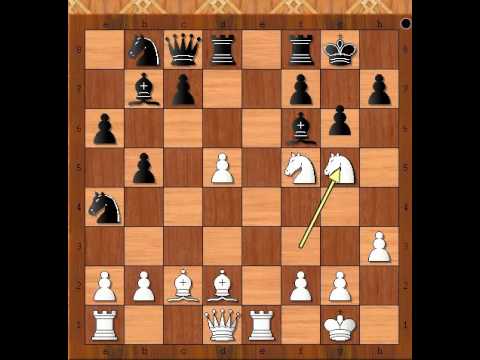 Gligorićev šahovski šou dva Skakača - GLIGORIC vs BIDEV - Spanska partija # 732