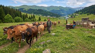 Living simply and warmly in a remote Turkish village | Shepherds of the Highlands