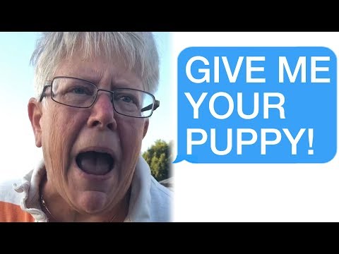 r/Entitledparents Crazy Woman STEALS a Service Dog!