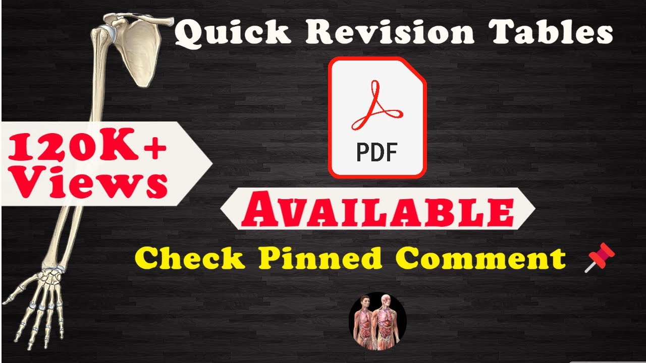 32 Upper Limb Bones - Quick Revision | 📝For PDF Notes, Check Description Box