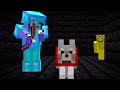 Why I Killed My Best Friend S Dog