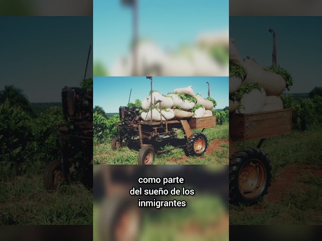 Vídeo relacionado con Los hijos de la cosecha