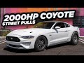 2000HP Coyote BEATS Lambo & GTR on the STREET! (FFRE Coyote Mustang Ridealong)