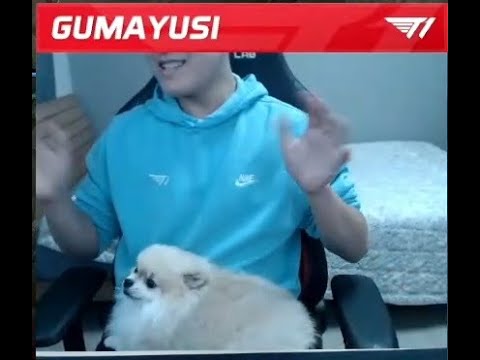 T1 Gumayusi scaring his dog after dying to T1 Cuzz