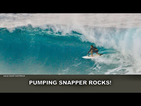 Pumping Snapper Rocks Dawn Session! All Star Cast! Tuesday 24th March 2026
