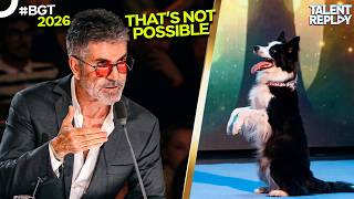 Salsa Just Raised The Bar For Every Dog Act | BGT 2026