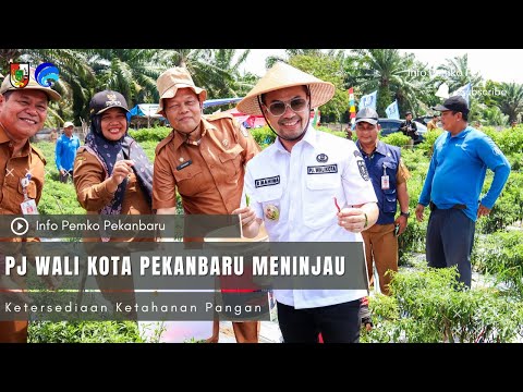 Pj Wali Kota Pekanbaru Meninjau Ketersediaan Ketahanan Pangan Kota Pekanbaru