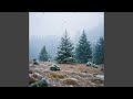 First Snow