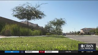 Fire Risk High As Winds Whip Up In Fontana