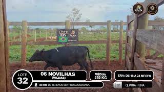 Vídeo LOTE 32
