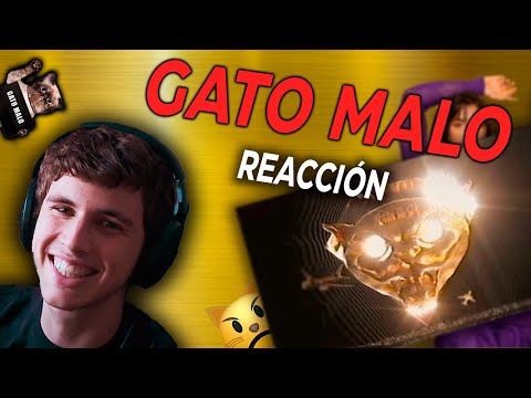 [REACCIÓN] GATO MALO - KAROL G, Nathy Peluso 🐈🐱