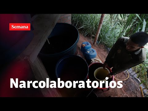 Así se procesa la cocaína en los narcolaboratorios en El Plateado, Cauca
