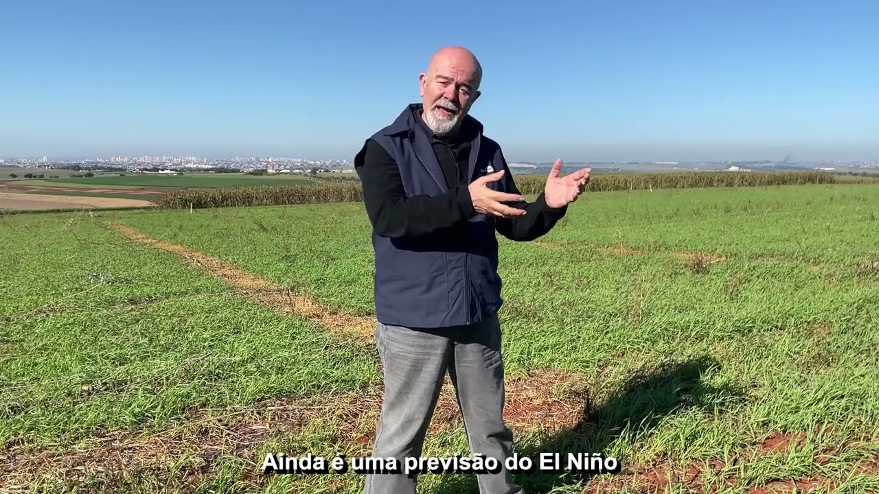 Influência do El Niño na safra de soja