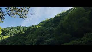 夏はやっぱり川が最高！和歌山県は玉川峡に行ってきました。アイホンで撮影した動画になります　丹生川　大阪から近い 観光PR