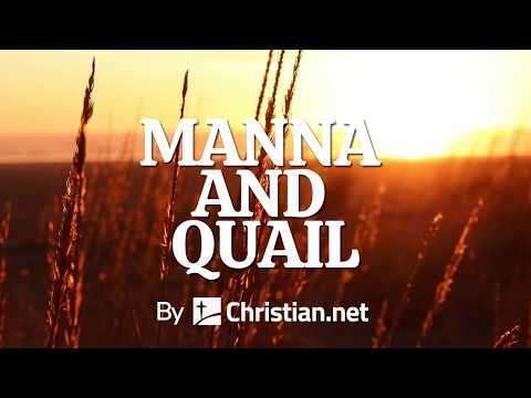 Exodus 16: Manna and Quail | Bible Story (2020)