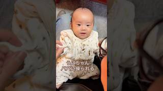 うはちゃんパパにあそばれる #赤ちゃん #赤ちゃんのいる生活 #可愛い