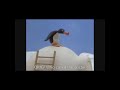 Pingu Pingu At The Doctors