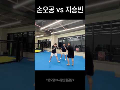손오공 수원 접수완료