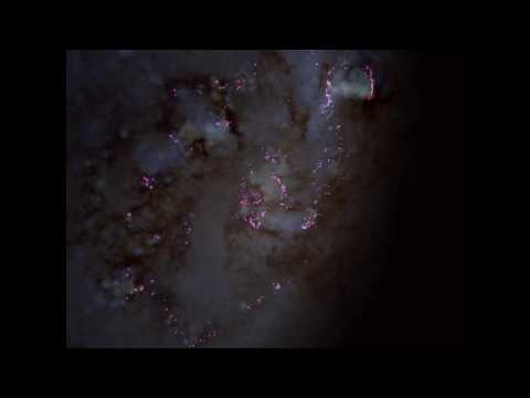 Outflow event in a hydrodynamic simulation of a Milky Way-mass galaxy (m12w)