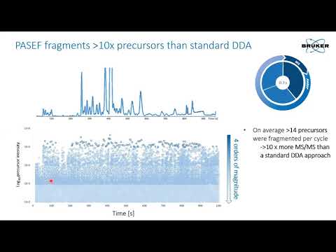 High Speed untargeted 4D-Lipidomics LC-MS/MS workflows with PASEF