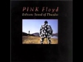 On the Turning Away Pink Floyd lyrics w/ meaning ...