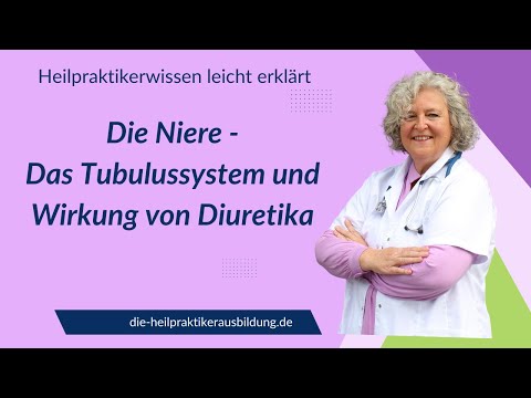 Das Tubulussystem und wie wirken Diuretika