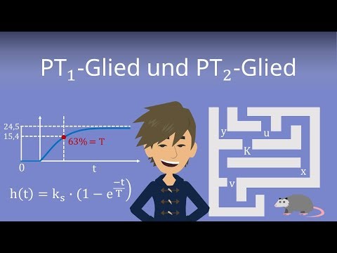 PT1-Glied und PT2-Glied mit Übergangsfunktion - Grundelemente der Regelungstechnik