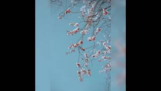 Download lagu Musik Relaksasi 'musik pengantar tidur 10 menit...' mp3 Download lagu Musik Relaksasi 'musik pengantar tidur 10 menit...' mp3