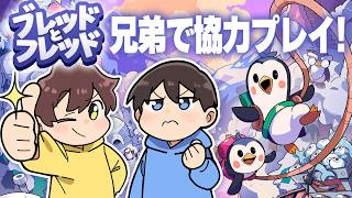息ぴったりの仲良し兄弟なら山のてっぺん目指すのなんて簡単だよね🐧🐧【ブレッドとフレッド】