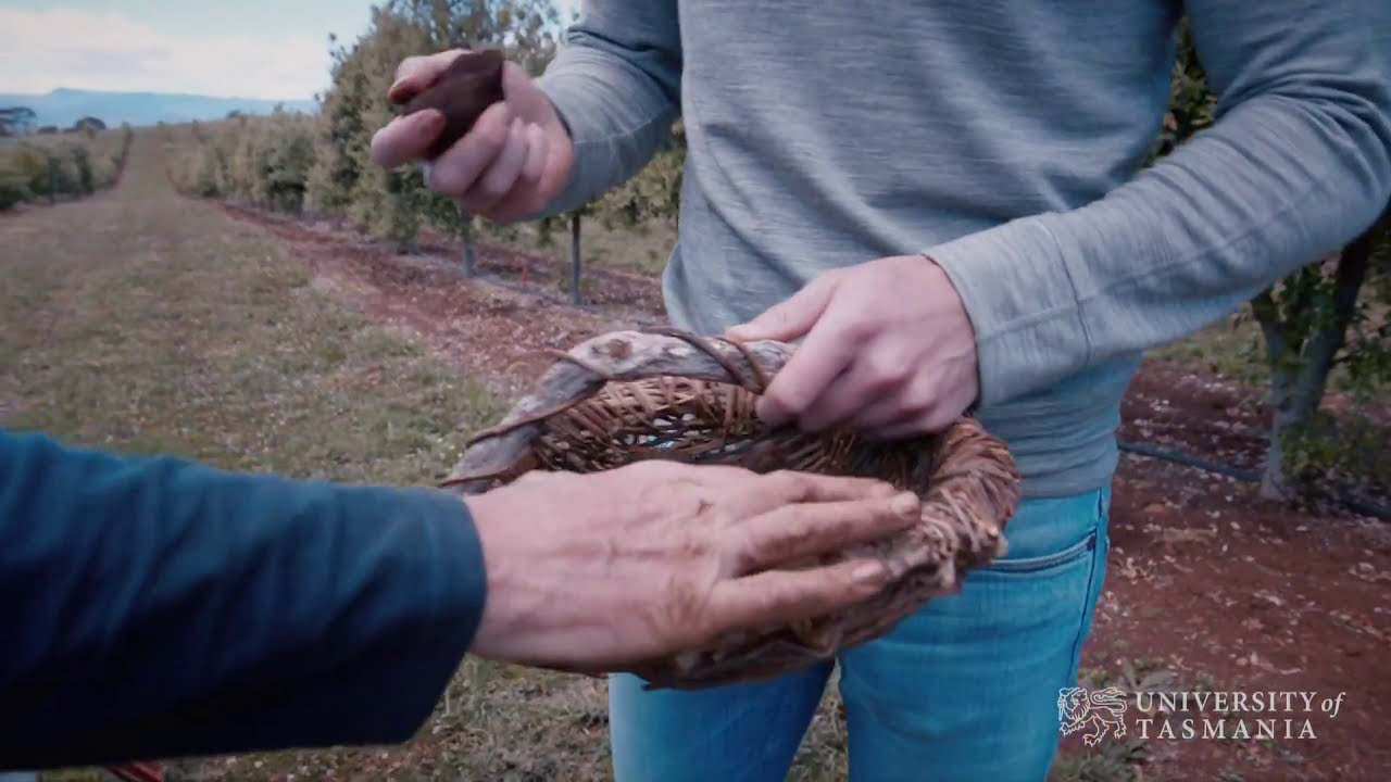 Play video: Truffle gold in Tassie