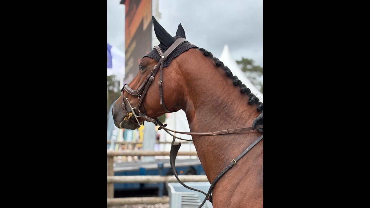 Larnacoeur de Vomorin (GFE CICAVE DU TALUS x LIMBO) video 1