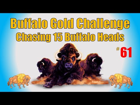 Buffalo Gold Challenge - Chasing 15 Buffalo Heads #61