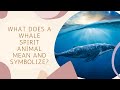What Does A Whale Spirit Animal Mean And Symbolize?