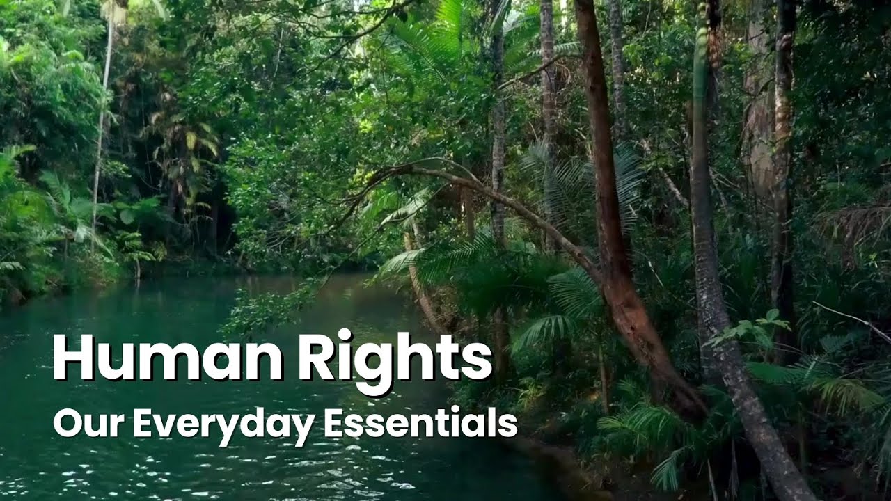 Human Rights, Our Everyday Essentials