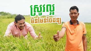 គ្រប់យ៉ាងសុទ្ធតែមិនមែនរឿងចៃដន្យនោះទេ 😊🥰