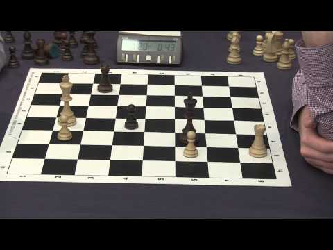 2014-01-16 Rapid Dvorkovich mem. Taganrog