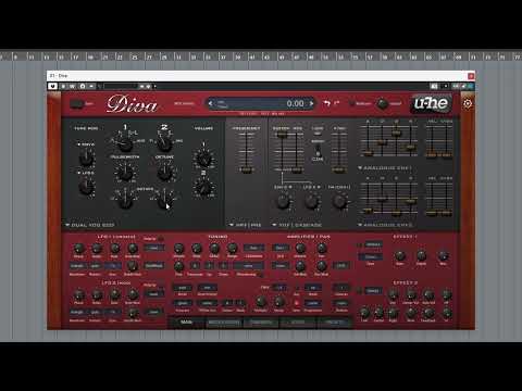 BASS BASICS #7 GRIMEY DIVA