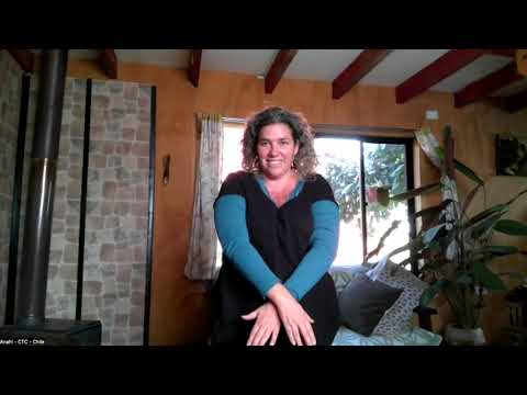 Qi Gong for Immune System Support: Gentle Practice to Boost Energy and Well-Being