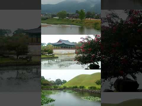GYEONGJU, COREIA DO SUL | - Um dia chuvoso em Gyeongju-Si | Panasonic Lumix