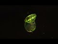YouTube product video