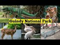 Guindy National Park | Children's park Chennai | Snake park Chennai | Guindy park review