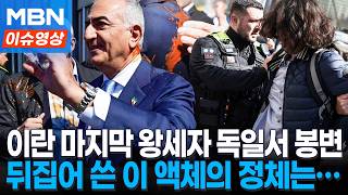 이란 마지막 왕세자 독일서 날벼락…뒤집어 쓴 액체의 정체 [이슈영]