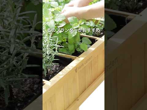 どのベランダの植物を選ぶべきですか？実践的なアドバイスと素晴らしいアイデア  庭園