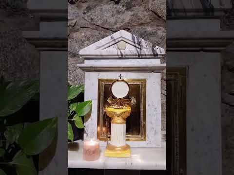 Adoración al Santísimo Sacramento del Altar con el Padre Fabian Esteban Oliva. 23/04/26